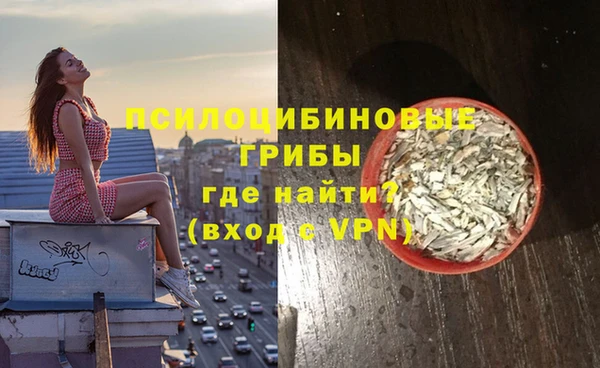 дмт Арсеньев