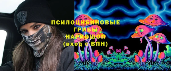 дмт Арсеньев