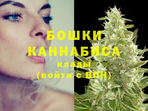 бошки Аркадак