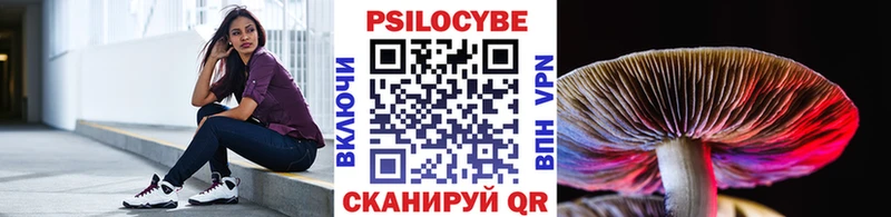 Псилоцибиновые грибы GOLDEN TEACHER  Аркадак 